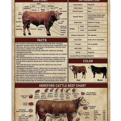 Cow Hereford Cattle Knowledge Vertical Poster Canvas Wall Decor Visual Art 1
