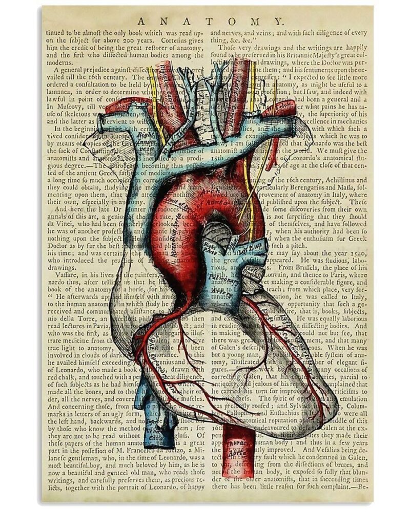 Human Heart Anatomy Vintage Cardiologist Vertical Poster Canvas Wall Decor Visual Art 1