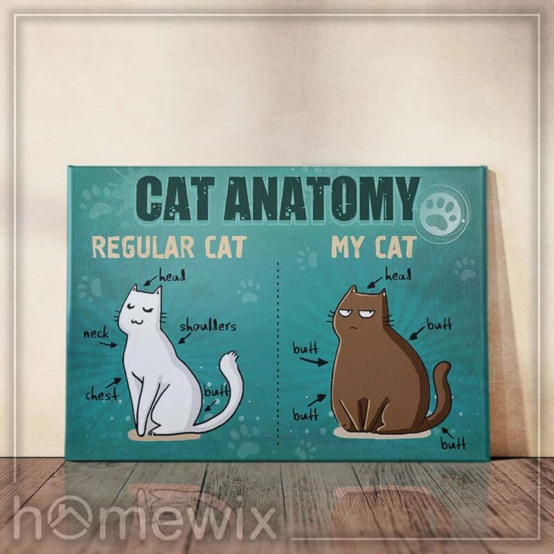 My Cat Anatomy Poster Canvas - Wall Decor