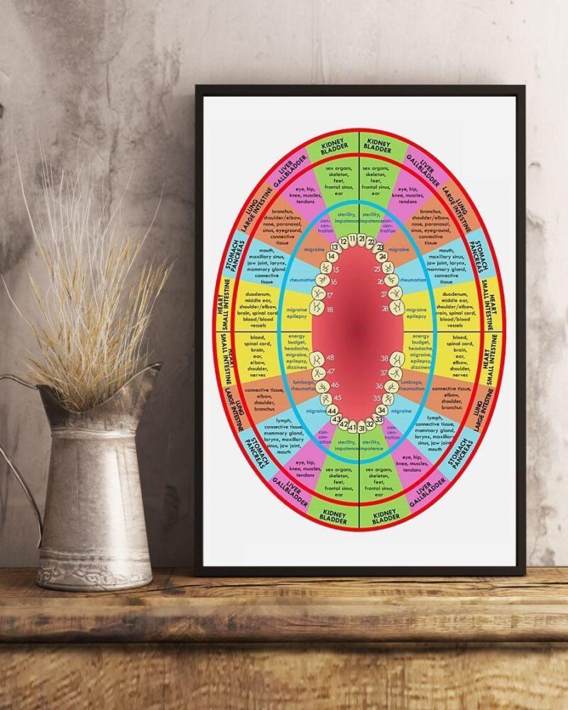 Professions Poster - Dentist Colorful Circle Vertical Poster Canvas- Wall Decor Visual Art