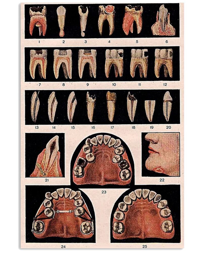 Professions Poster Dentist Full Number Images Vertical Poster Canvas Wall Decor Visual Art 1
