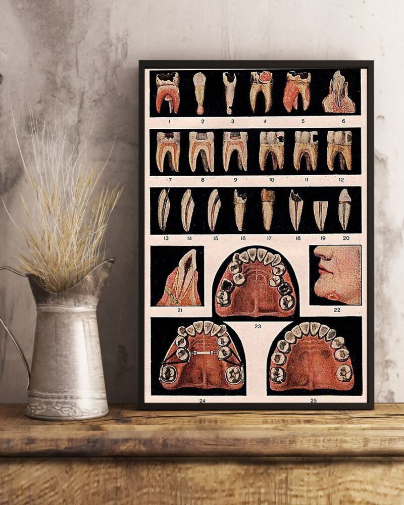 Professions Poster - Dentist Full Number Images Vertical Poster Canvas - Wall Decor Visual Art