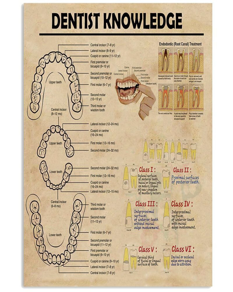 Professions Poster Dentist Knowledge Vertical Poster Canvas Wall Decor Visual Art 1