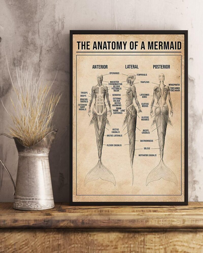 The Anatomy Of A Mermaid Vertical Poster Canvas Wall Decor Visual Art 2