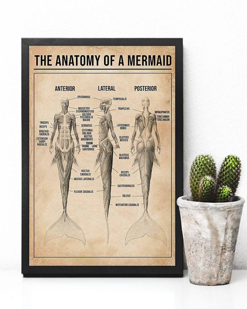 The Anatomy Of A Mermaid Vertical Poster Canvas Wall Decor Visual Art 3