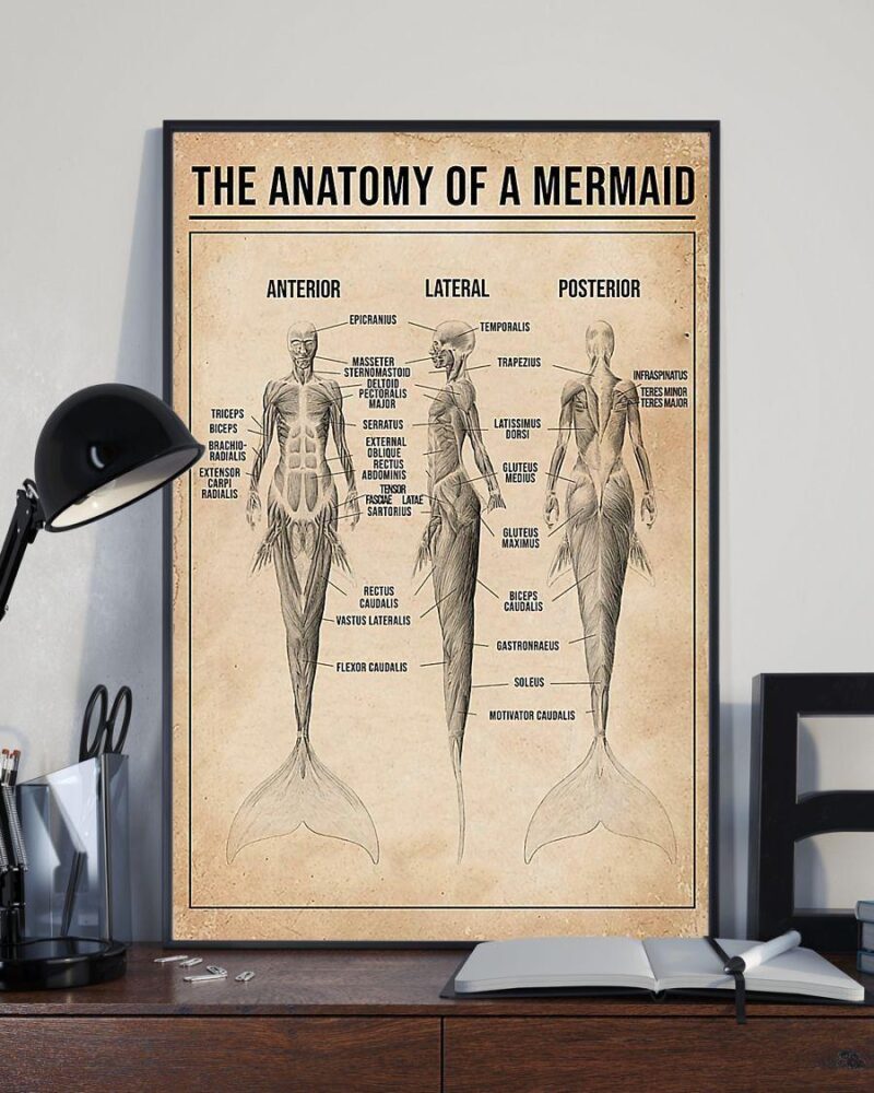 The Anatomy Of A Mermaid Vertical Poster Canvas- Wall Decor Visual Art