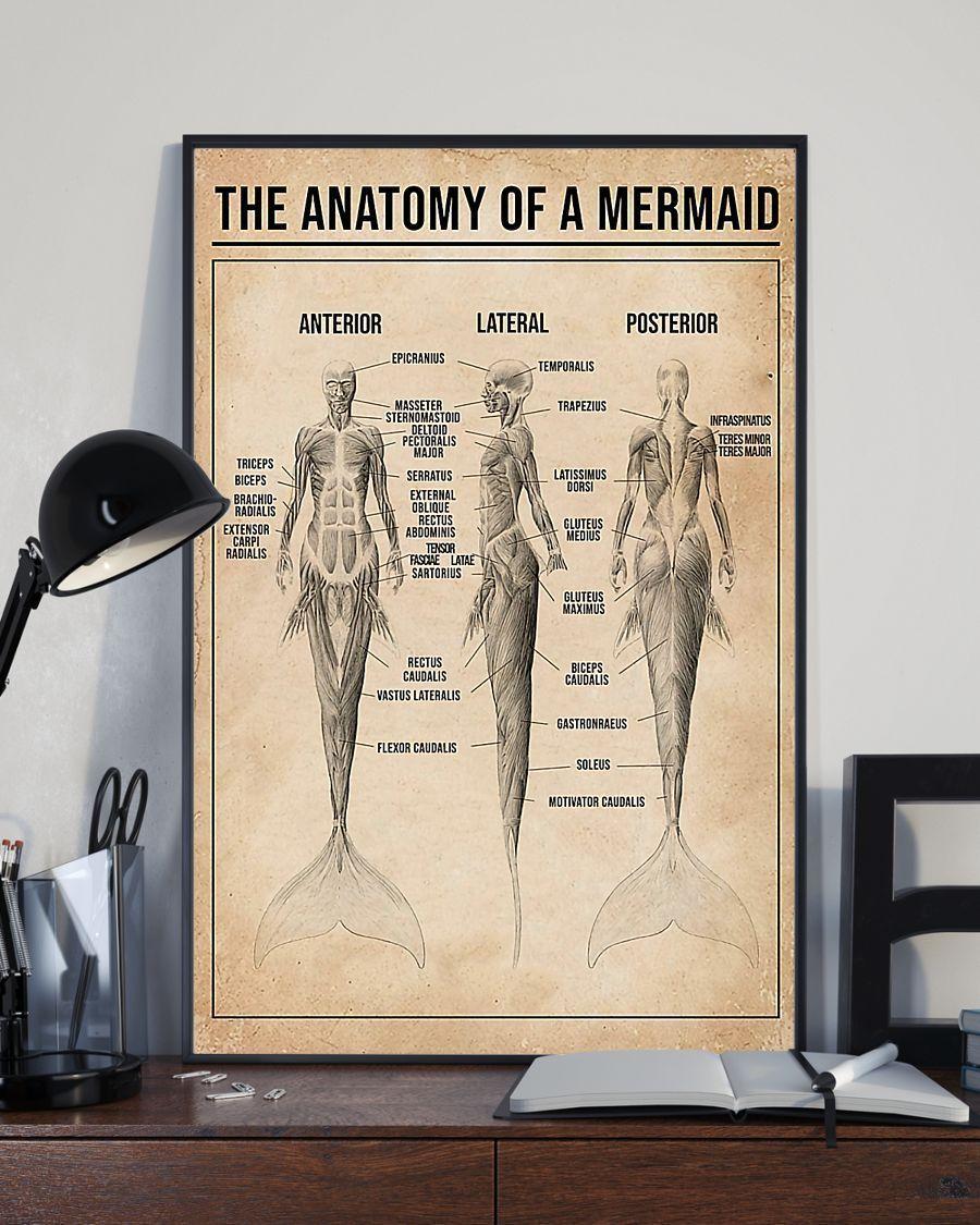 The Anatomy Of A Mermaid Vertical Poster Canvas- Wall Decor Visual Art ...