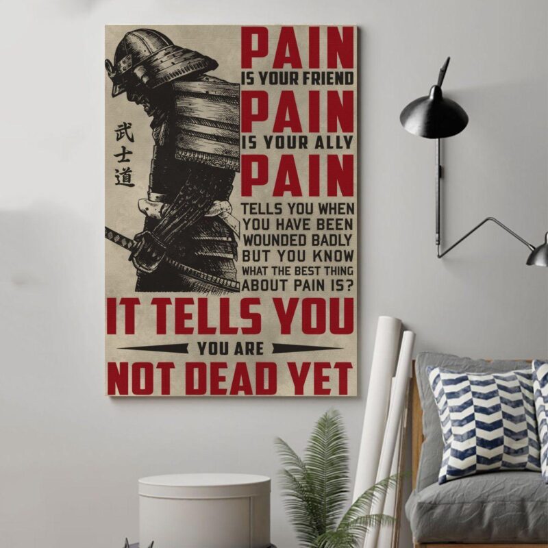 samurai Poster Canvaspain wall decor visual art