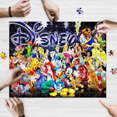 Disney Princess Characters Fan Gift