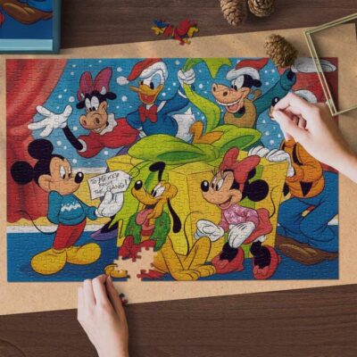 Disney Mickey Fan Gift