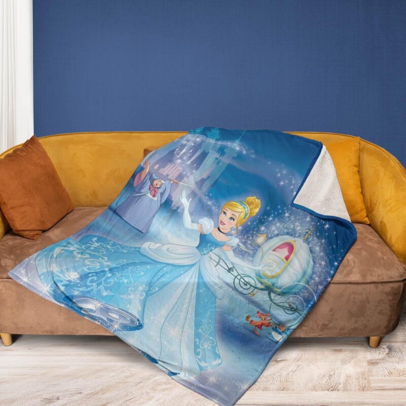 Disney Cinderella Fan Gift