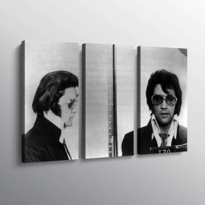 Elvis Presley Police Mugshot Famous Print Wall Art Canvas 2