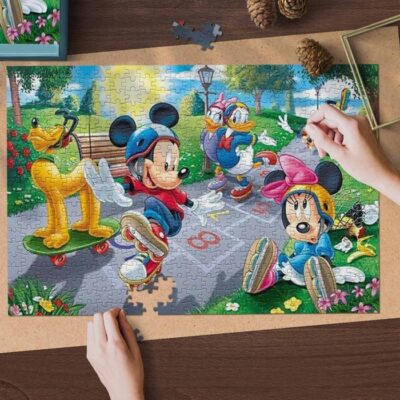 Mickey Mouse Fan Gift