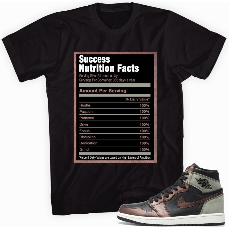 Air Jordan 1 Retro High OG Patina T Shirt Success Nutrition Facts Matching Outfits 1