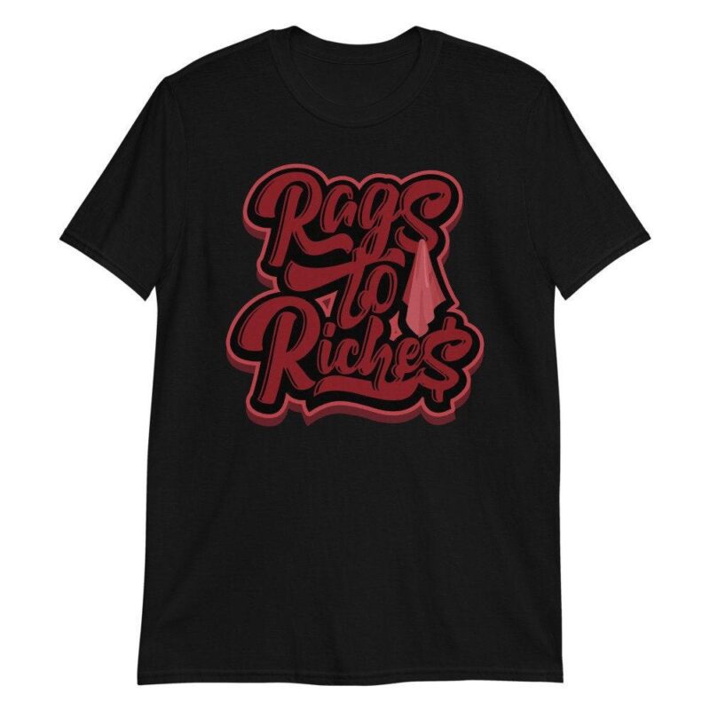 Air Jordan 12 Retro Reverse Flu Game T Shirt Rags to Riches Matching Outfits 2