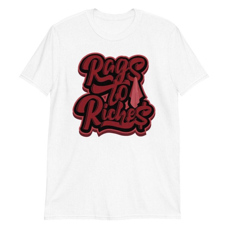 Air Jordan 12 Retro Reverse Flu Game T Shirt Rags to Riches Matching Outfits 3
