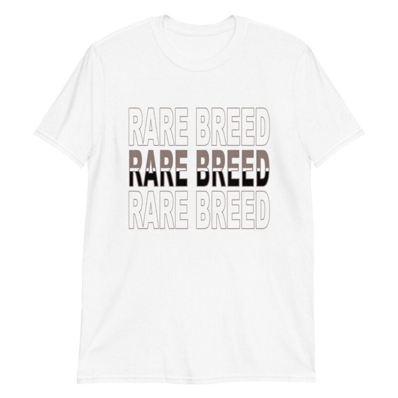 Air Jordan 4 Retro Taupe Haze T Shirt Rare Breed Matching Outfits 3