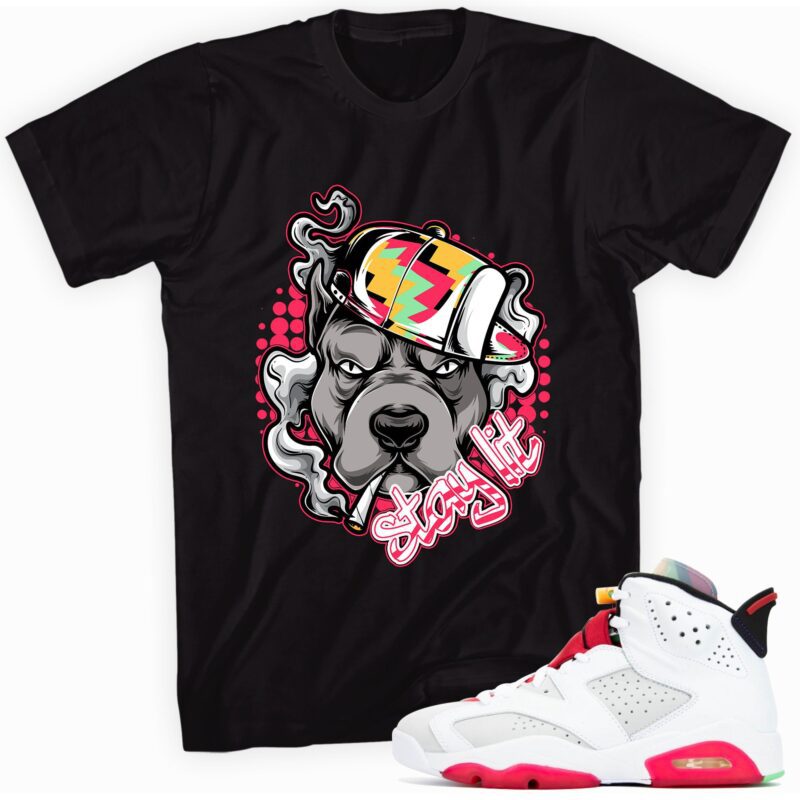 Air Jordan 6 Retro Hare T-Shirt -Stay Lit Matching Outfits