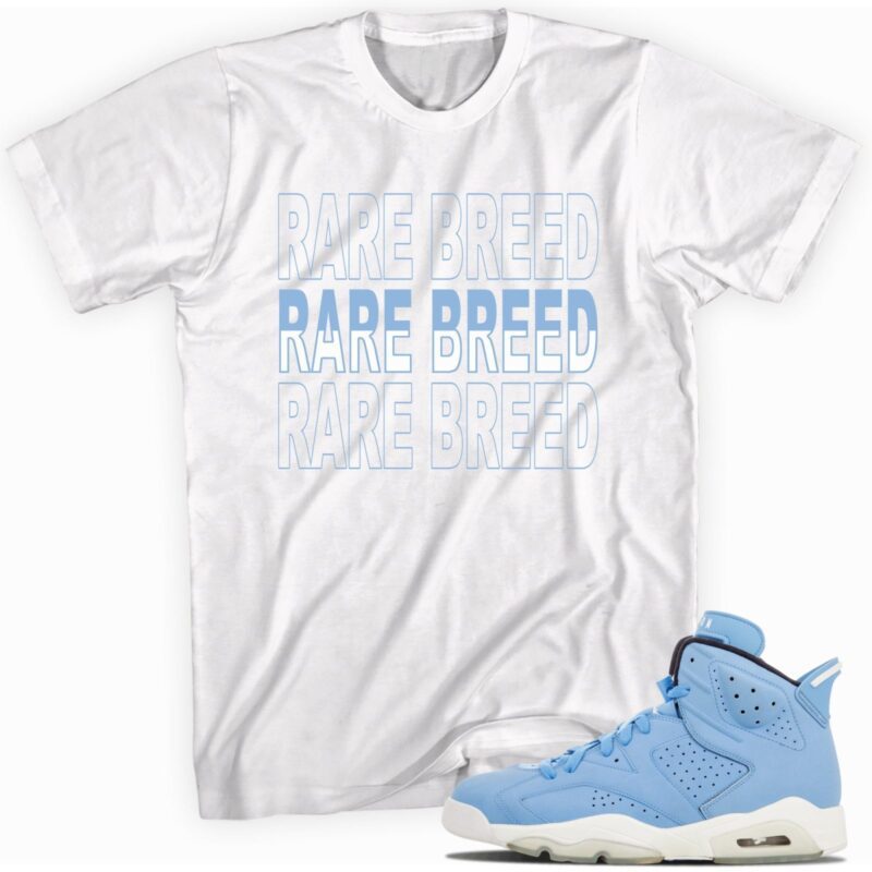 Air Jordan 6 Retro Still Blue T Shirt Rare Breed Matching Outfits 1