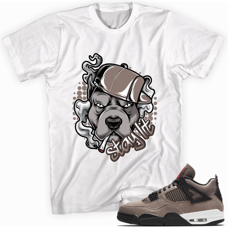 Custom Made to Match Air Jordan 4 Retro Taupe Haze T Shirt Stay Lit Matching Outfits 1