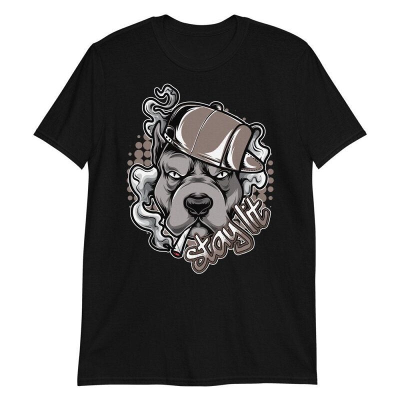 Custom Made to Match Air Jordan 4 Retro Taupe Haze T Shirt Stay Lit Matching Outfits 2