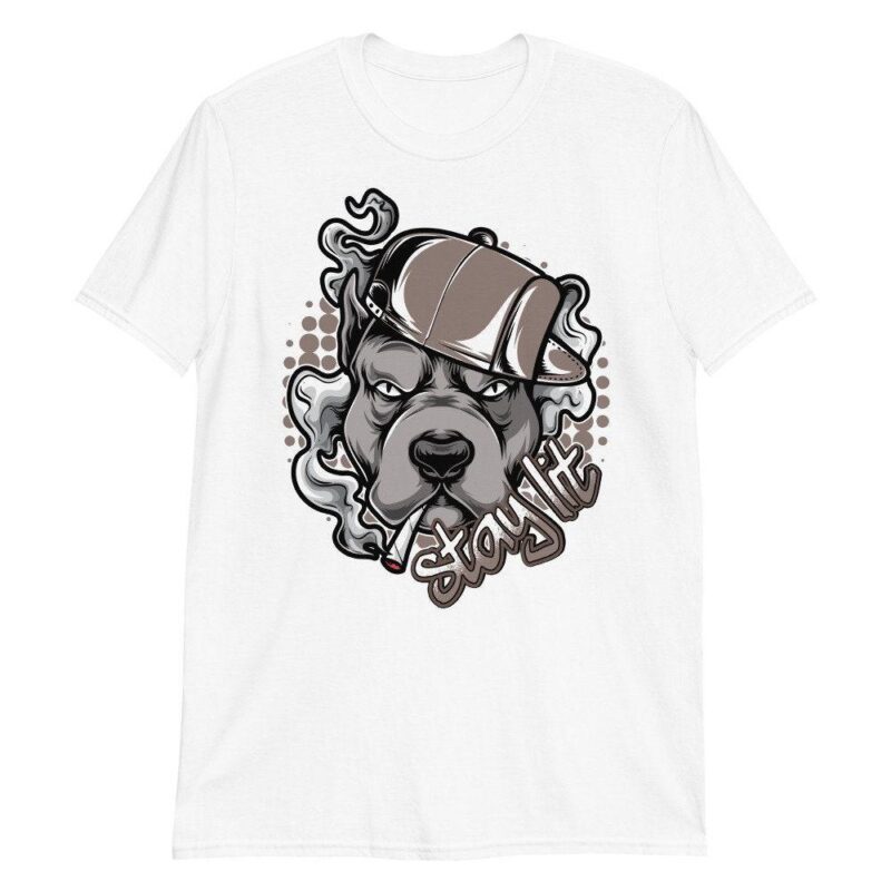 Custom Made to Match Air Jordan 4 Retro Taupe Haze T Shirt Stay Lit Matching Outfits 3