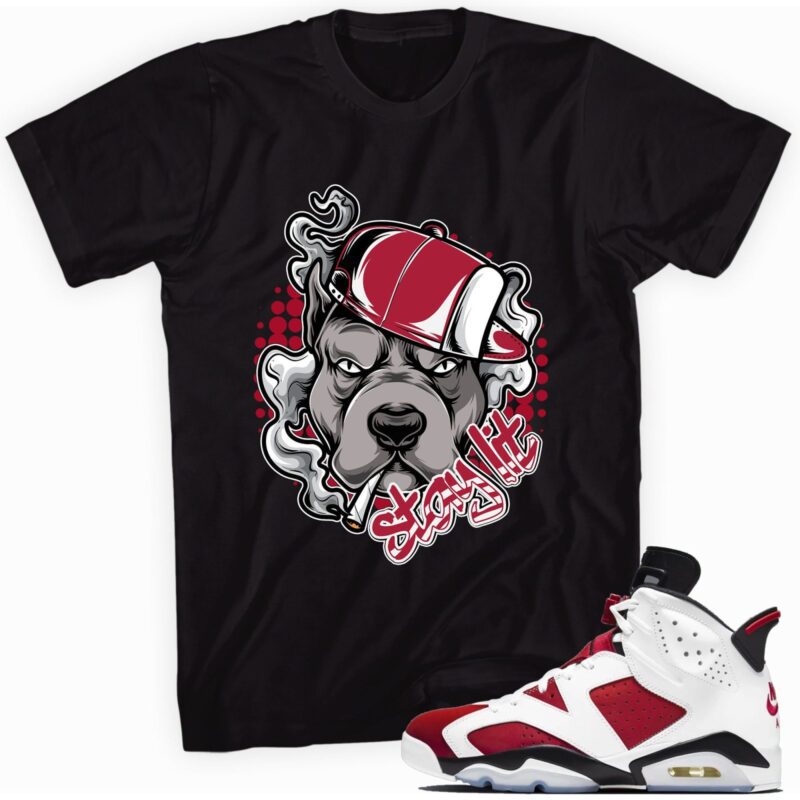 Custom Made to Match Air Jordan 6 Retro Carmine 2021 T Shirt Stay Lit Matching Outfits 1
