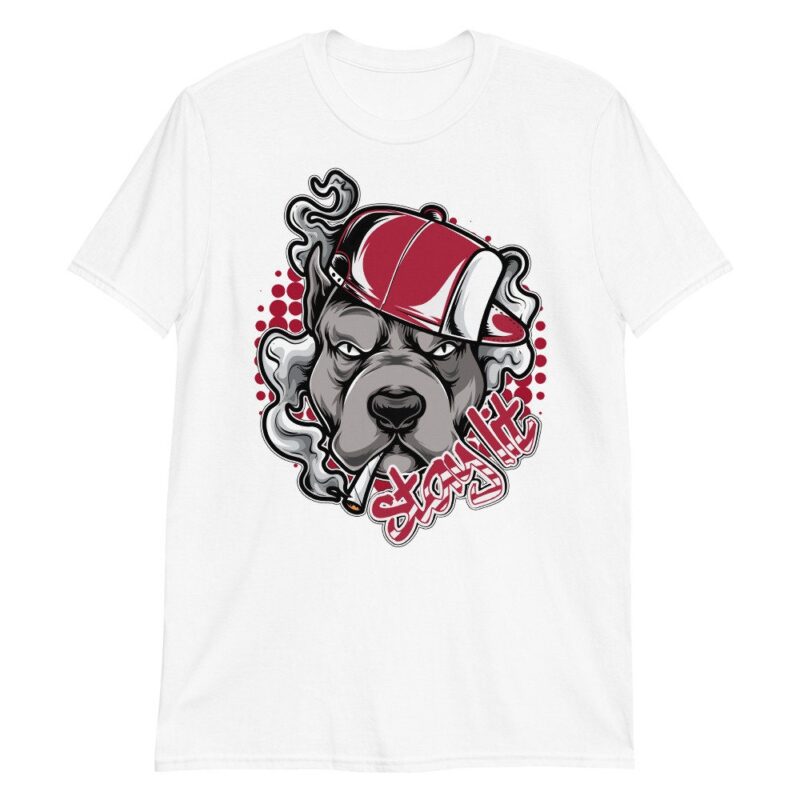 Custom Made to Match Air Jordan 6 Retro Carmine 2021 T Shirt Stay Lit Matching Outfits 2