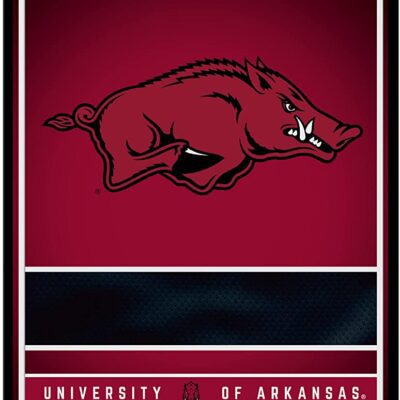 NCAA Arkansas Razorbacks Personalized Custom Metal Parking Sign Wall Decor Indoor Ourdoor 6 NCAA Arkansas Razorbacks Personalized Custom Metal Parking Sign Wall Decor Indoor Ourdoor 6