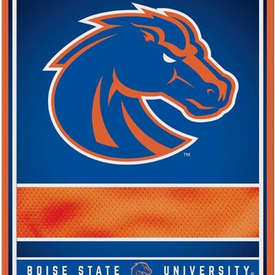 NCAA Boise State Broncos Personalized Custom Metal Parking Sign Wall Decor Indoor Ourdoor 6