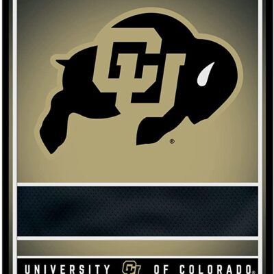 NCAA Colorado Buffaloes Personalized Custom Metal Parking Sign Wall Decor Indoor Ourdoor 6