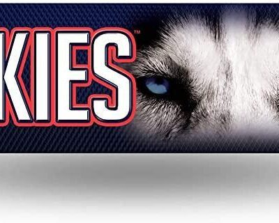 NCAA Connecticut Huskies Metal Street Sign Decor