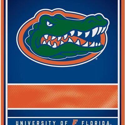 NCAA Florida Gators Personalized Custom Metal Parking Sign Wall Decor Indoor Ourdoor 6 NCAA Florida Gators Personalized Custom Metal Parking Sign Wall Decor Indoor Ourdoor 6
