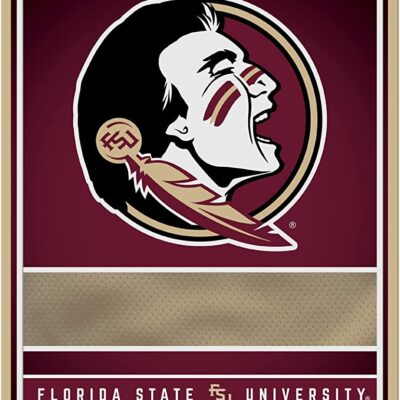NCAA Florida State Seminoles Personalized Custom Metal Parking Sign Wall Decor Indoor Ourdoor 6 NCAA Florida State Seminoles Personalized Custom Metal Parking Sign Wall Decor Indoor Ourdoor 6