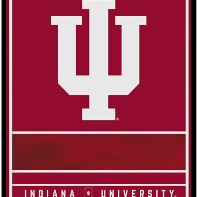 NCAA Indiana Hoosiers Personalized Custom Metal Parking Sign Wall Decor Indoor Ourdoor 6