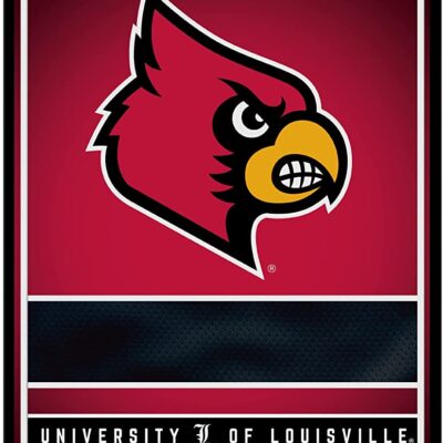 NCAA Louisville Cardinals Personalized Custom Metal Parking Sign Wall Decor Indoor Ourdoor 6