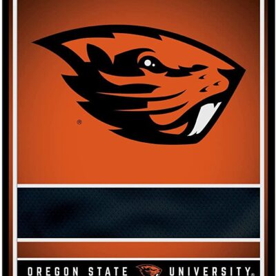 NCAA Oregon State Beavers Personalized Custom Metal Parking Sign Wall Decor Indoor Ourdoor 6 NCAA Oregon State Beavers Personalized Custom Metal Parking Sign Wall Decor Indoor Ourdoor 6