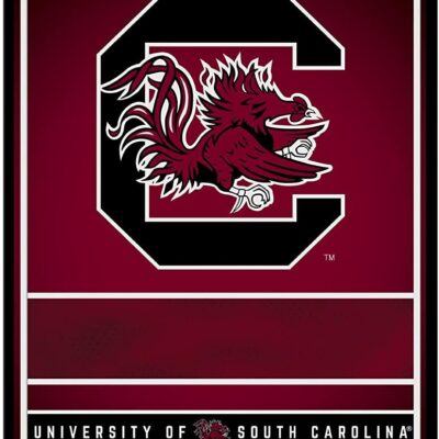 NCAA South Carolina Gamecocks Personalized Custom Metal Parking Sign Wall Decor Indoor Ourdoor 6
