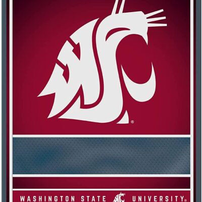 NCAA Washington State Cougars Personalized Custom Metal Parking Sign Wall Decor Indoor Ourdoor 6