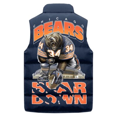 Chicago Bears Sleeveless Coat Sleeveless Vest Gift For Fans CCS4194 2