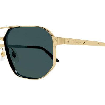 Santos de Cartier Sunglasses - CT0462S 003 2 0462s 003 60 gem opticians 3