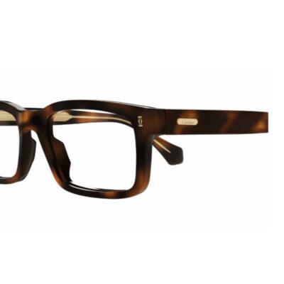 CARTIER 0291O 010 54 closeup