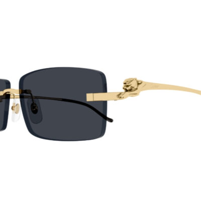 Panthere de Cartier Sunglasses - CT0430S 001 2 CARTIER 0430S 001 58 closeup