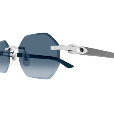 Sunglasses with Elongated C de Cartier motif - CT0439S 007 2 CARTIER 0439S 007 54 CloseUp