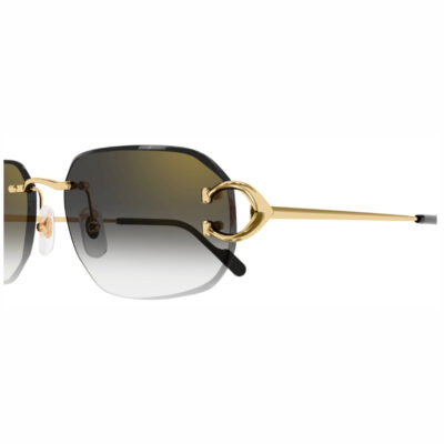 CARTIER 0468S 001 58 closeup