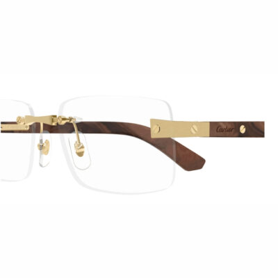 Santos de Cartier Glasses - CT0513O 004 2 CARTIER 0513O 004 57 closeup