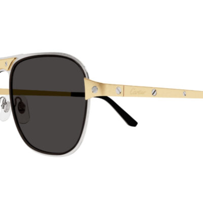 Santos de Cartier Sunglasses CT0532S 001 2 CARTIER 0532S 001 58 closeup