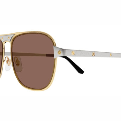 Santos de Cartier, Sunglasses - CT0532S 004 2 CARTIER 0532S 004 58 closeup