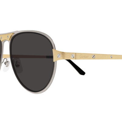 Santos de Cartier Sunglasses CT0532S 001 2 CARTIER 0533S 001 58 closeup