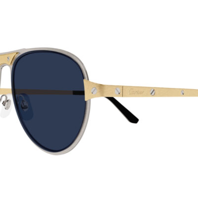 Santos de Cartier Sunglasses CT0533S 003 2 CARTIER 0533S 003 58 closeup